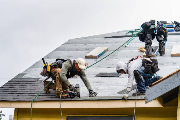 Professional Storm Damage Roof Repair technician working in Cambridge, MN